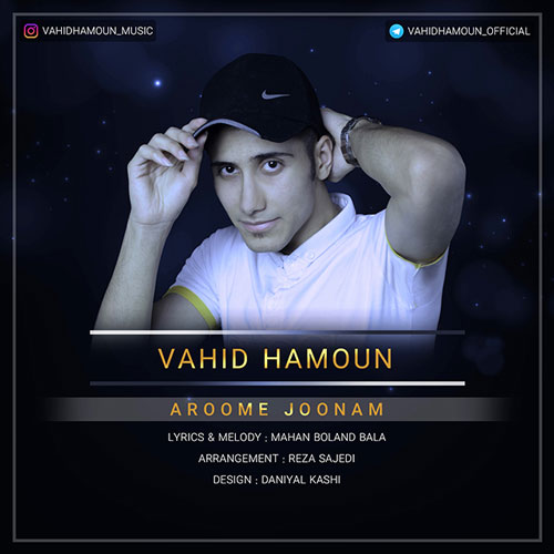 تک ترانه - دانلود آهنگ جديد Vahid-Hamoun-Aroome-Joonam آهنگ جدید وحید هامون به نام آروم جونم 