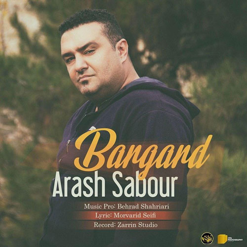 تک ترانه - دانلود آهنگ جديد Arash-Sabour-Bargard دانلود آهنگ آرش صبور به نام برگرد 