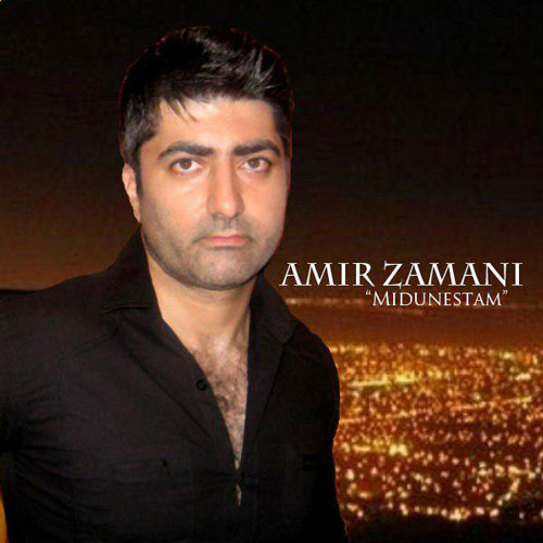 تک ترانه - دانلود آهنگ جديد Amir-Zamani-Midunestam دانلود آهنگ امیر زمانی به نام میدونستم  