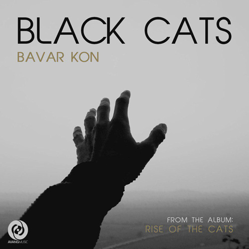 تک ترانه - دانلود آهنگ جديد Black-Cats-Bavar-Kon دانلود آهنگ بلک کتس به نام باور کن  