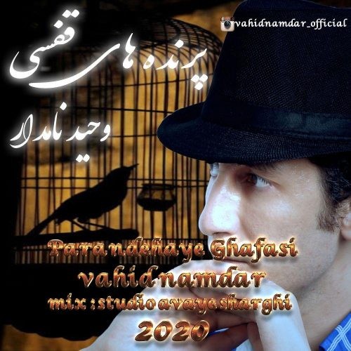 تک ترانه - دانلود آهنگ جديد Vahid-Namdar-Parandehaye-Ghafasi دانلود آهنگ وحید نامدار به نام پرنده های قفسی  