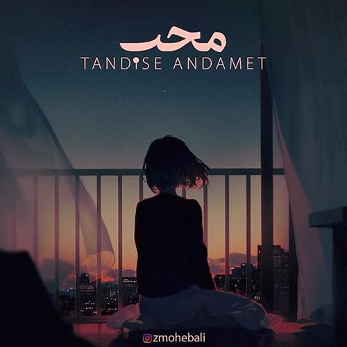 تک ترانه - دانلود آهنگ جديد Moheb-Tandise-Andamet دانلود آهنگ محب به نام تندیس اندامت 