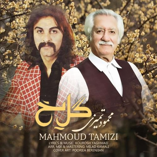 تک ترانه - دانلود آهنگ جديد Mahmoud-Tamizi-Gole-Yakh دانلود آهنگ محمود تمیزی به نام گل یخ  